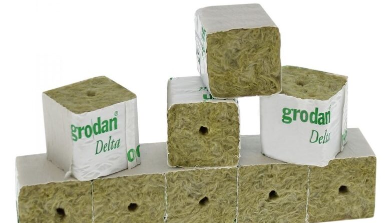 Grodan DELTA 40 mm : substrat de culture de précision pour une propagation fiable