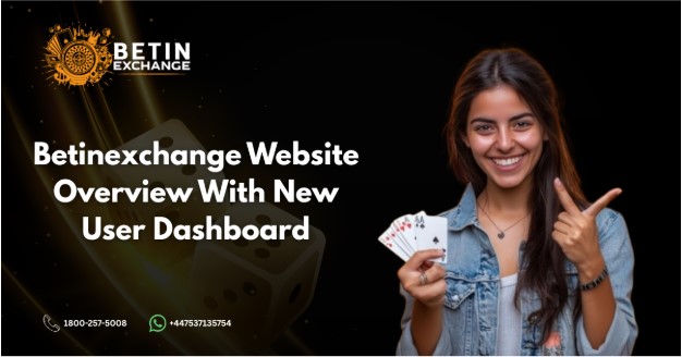 Betinexchange Website Overview with a Clear New User Dashboard Experience